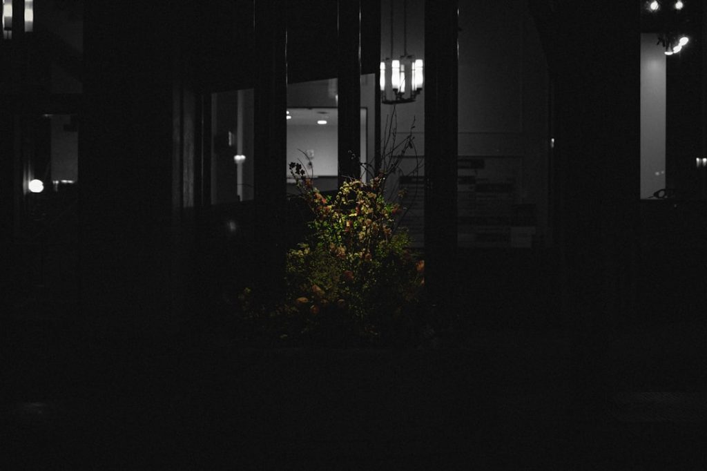 Photo Minnesota reception DJ